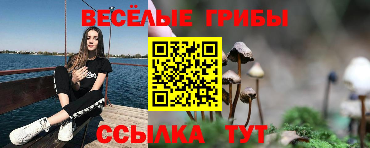 Псилоцибиновые грибы ЛСД  Вход с VPN  Галлюциногенные грибы Psilocybe  Кызыл 