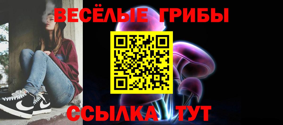 Псилоцибиновые грибы Psilocybe Кызыл