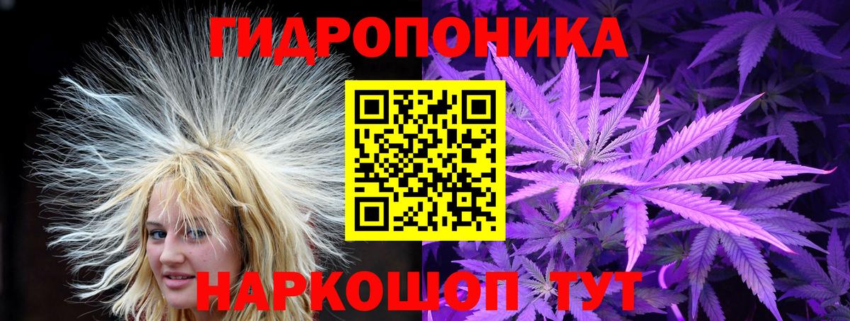 Канабис планчик Кызыл